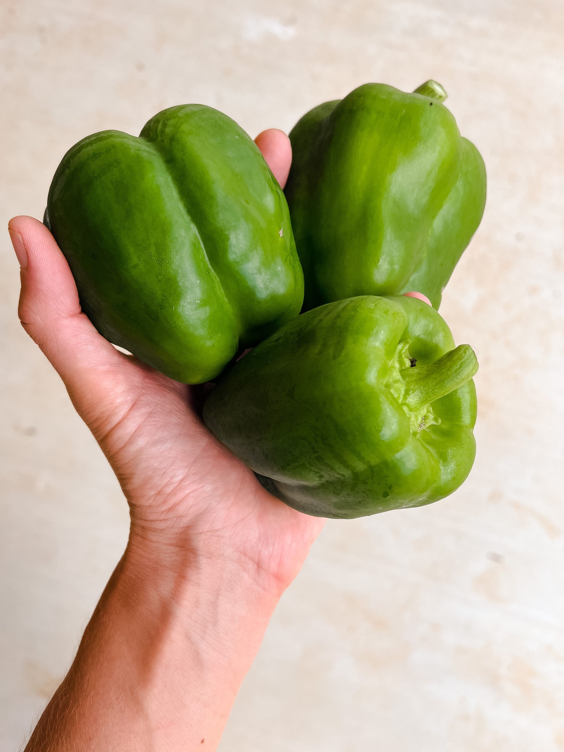 Bell Peppers Berkeley Farm