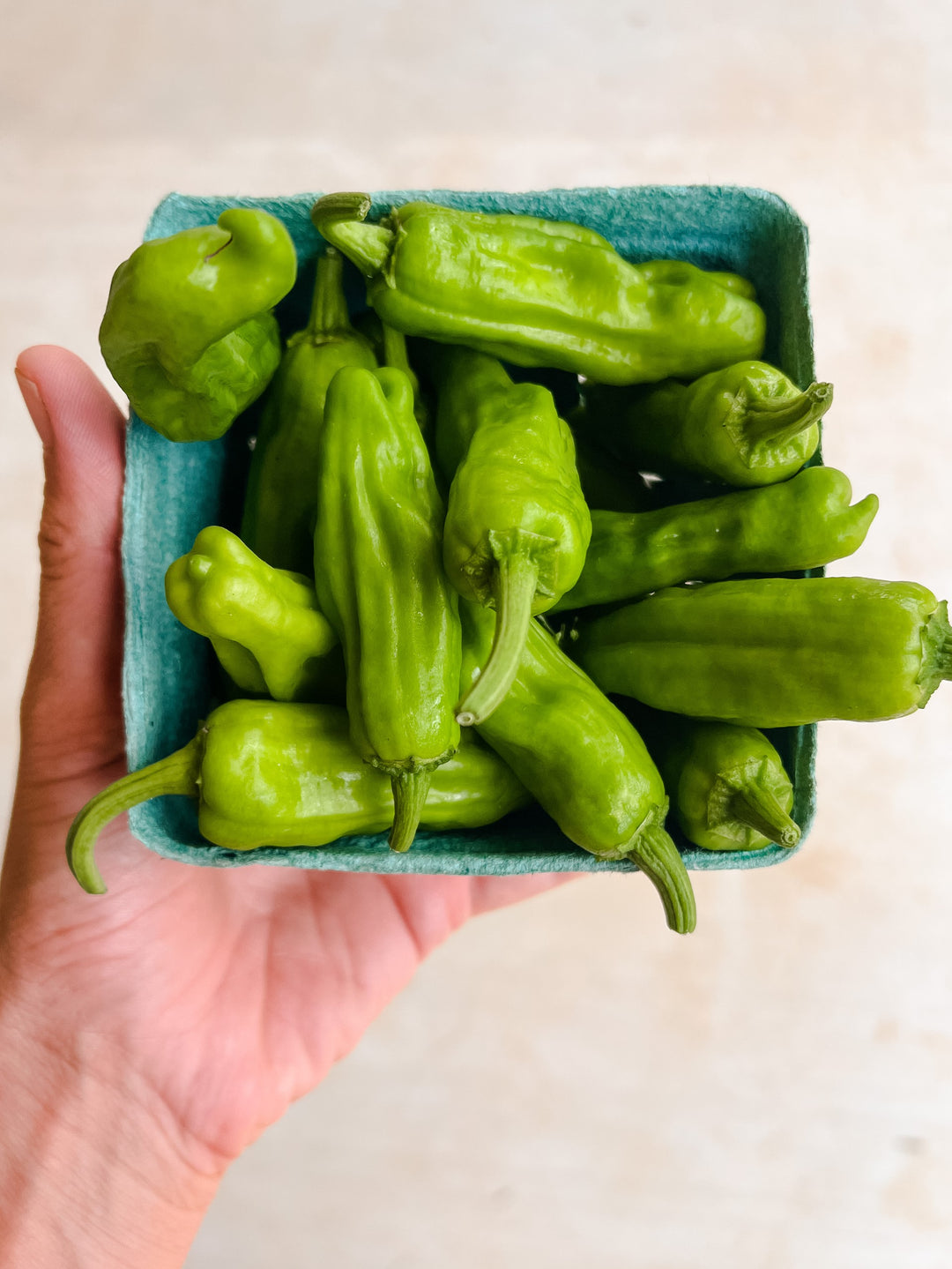 Shishito Peppers
