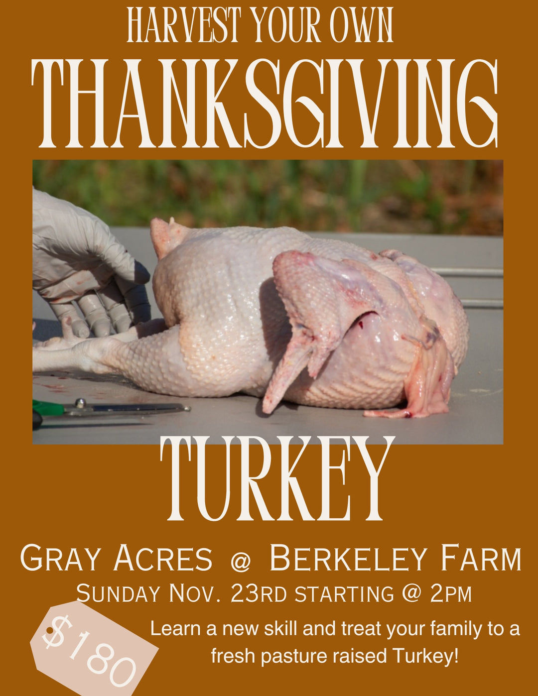 Turkey Butchery Workshop | November 23rd