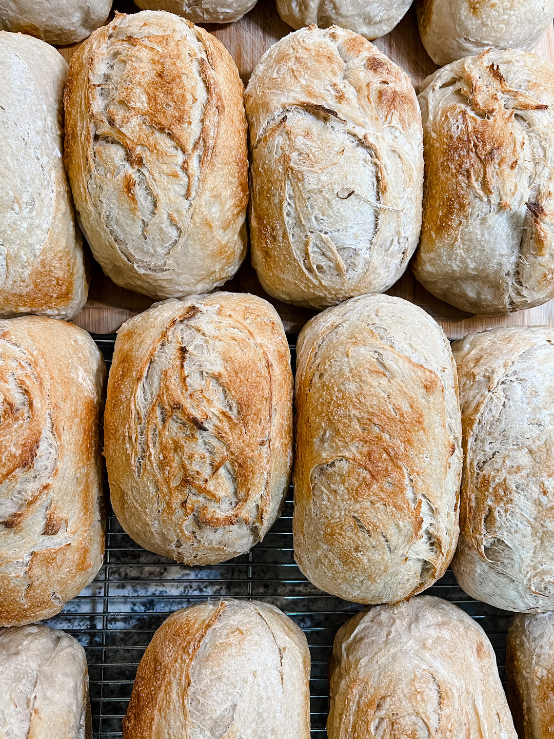 Sourdough Bread