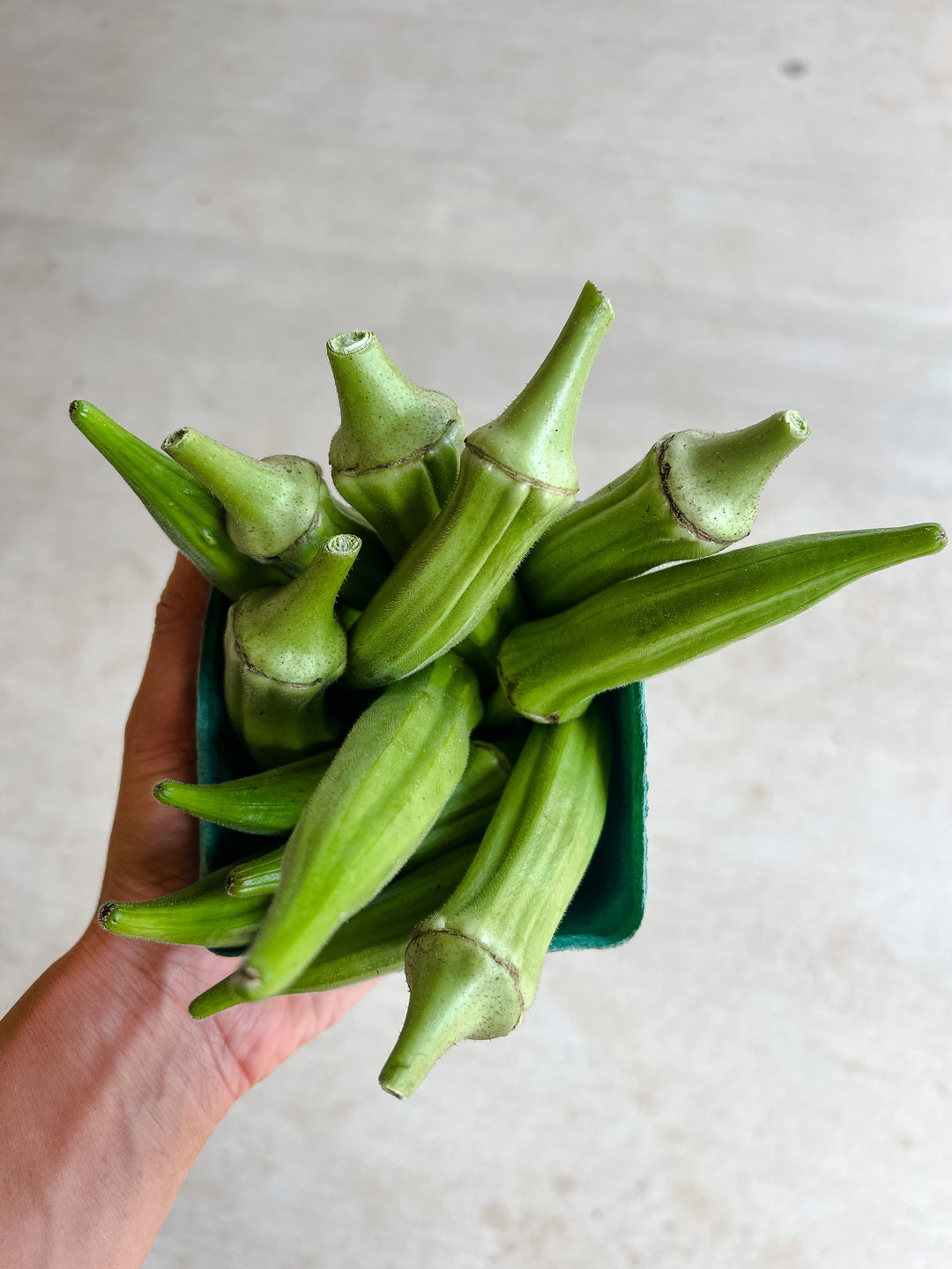 Okra