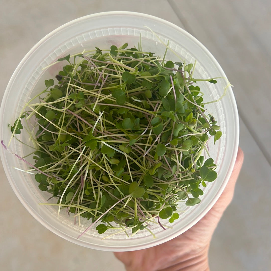 Microgreens