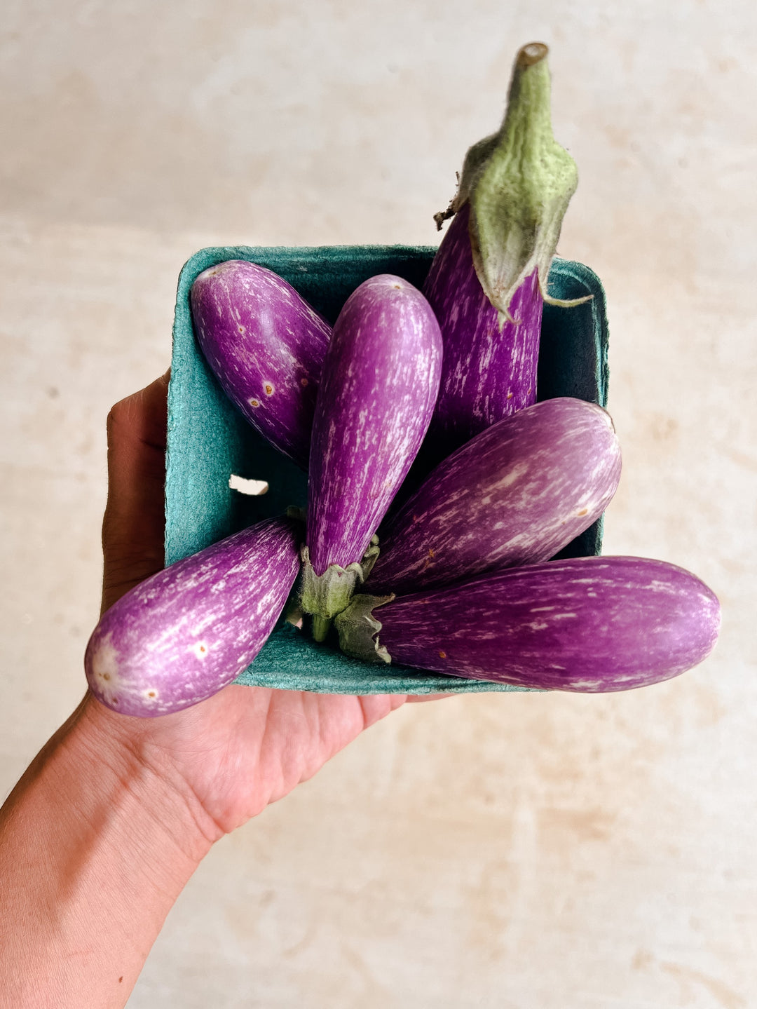 Fairytale Eggplant