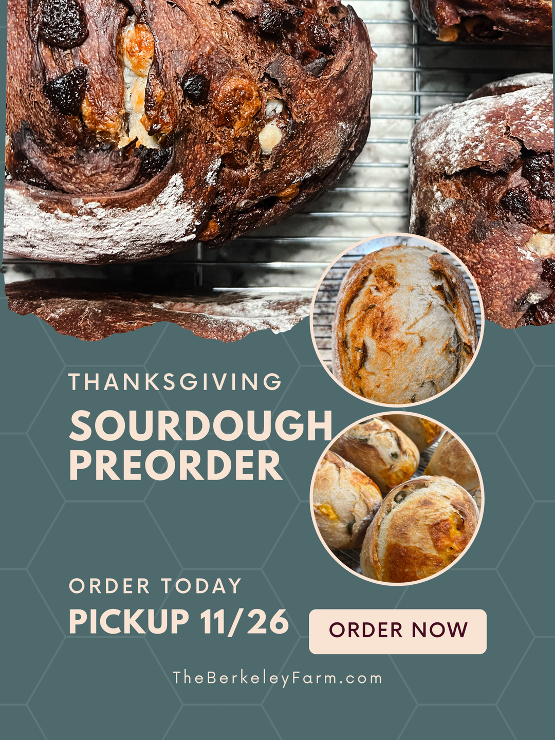 Sourdough | Thanksgiving PREORDER