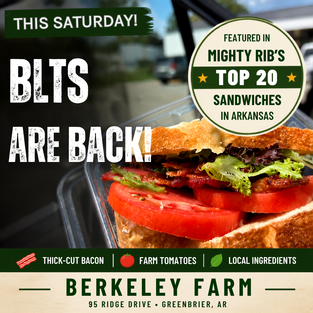 BLT Saturday Preorder