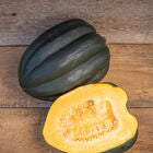 Fall Vegetable Plant PREORDER